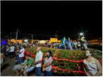 INAUGURAÇÃO DOS QUIOSQUES DA PRAÇA PADRE GUILHERME HÉBER